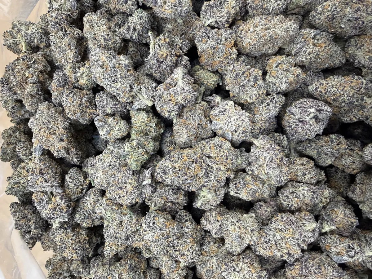 Rainbow Berries Flower